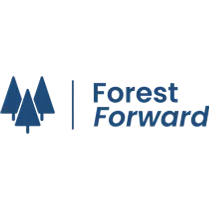 Forest_Forward
